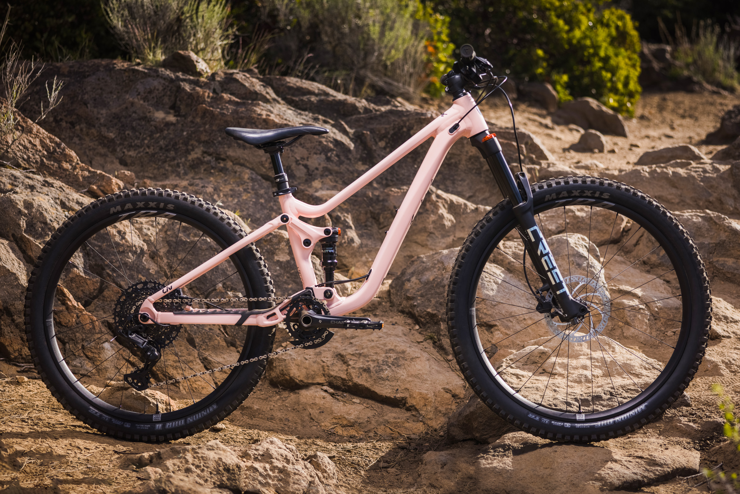 Liv Faith youth mountain bike