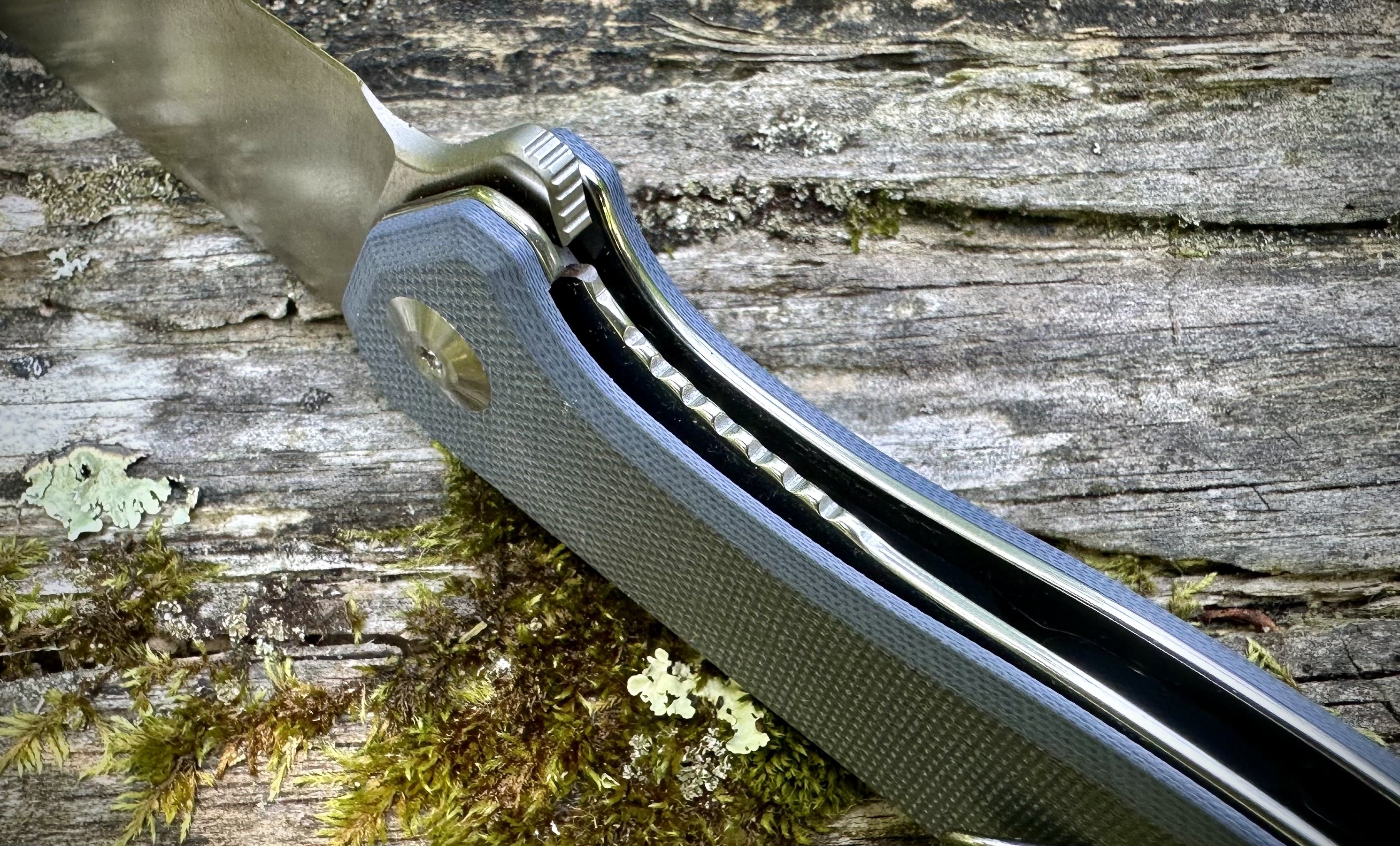 SENCUT Traxler knife