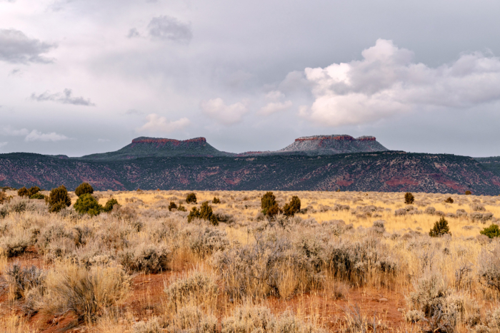 bears ears national monument intertribal coalition