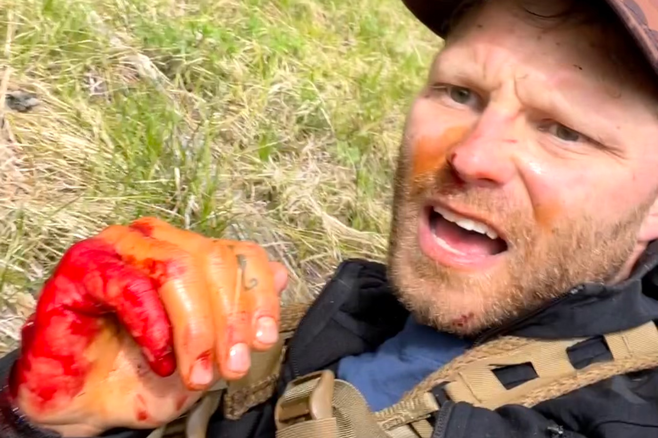 grizzly bear attack shayne patrick teton national park wyoming