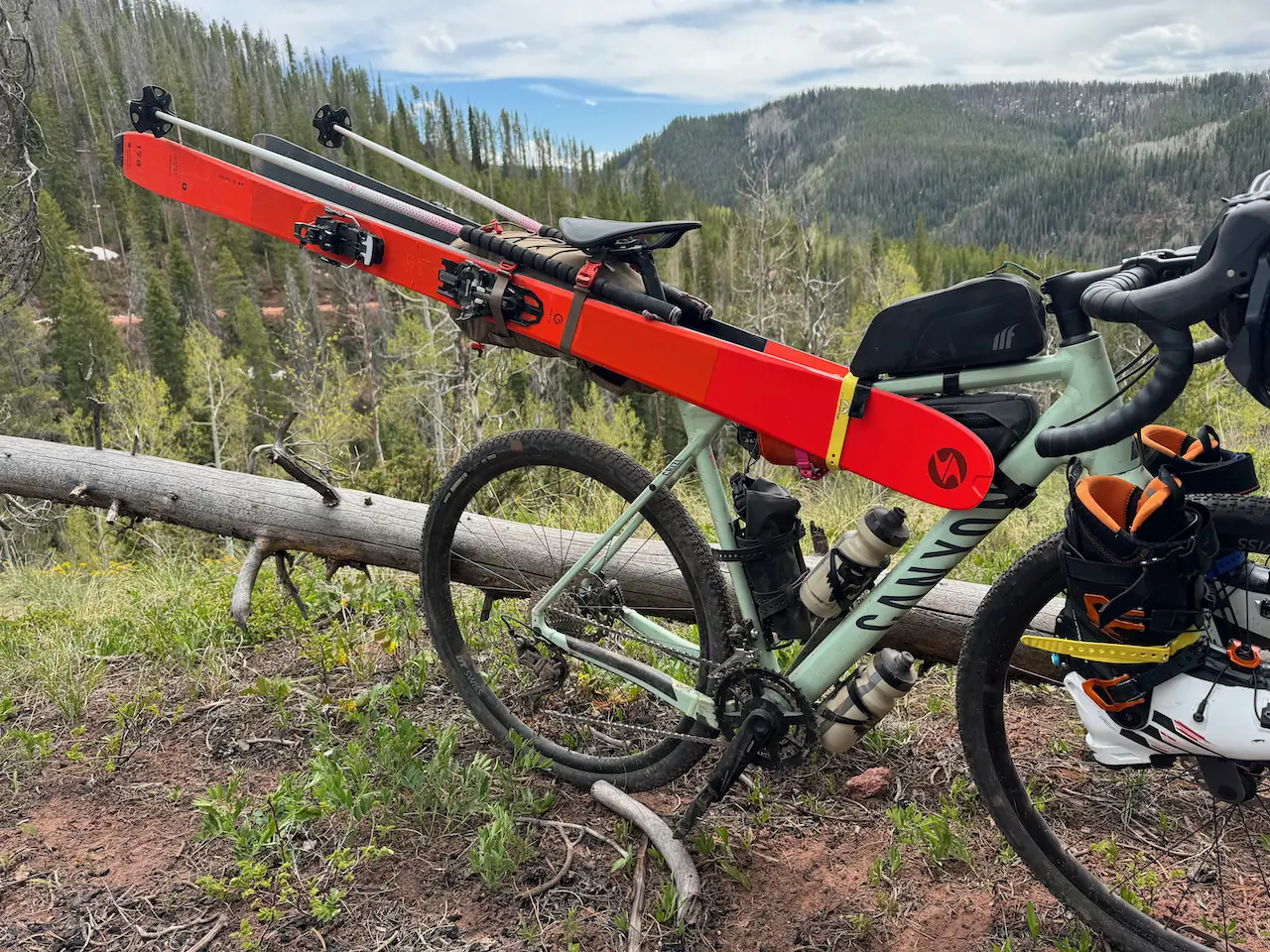 skiis and poles striped to the bike