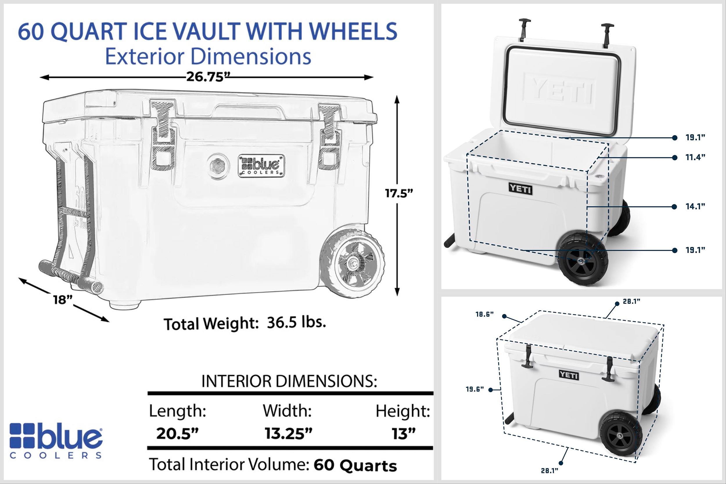 Blue Coolers vs Yeti Size