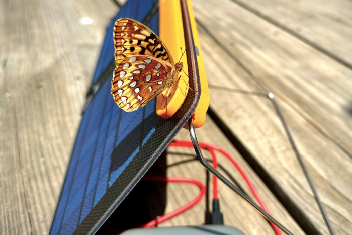 BioLiite Charge 100 Max and butterfly