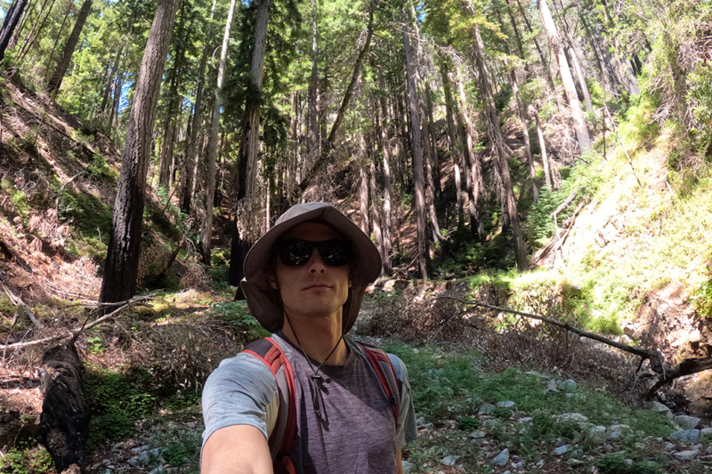 A Hiker Was Lost in the Santa Cruz Mountains for 10 Days; I Retraced His Steps to Find Out Why