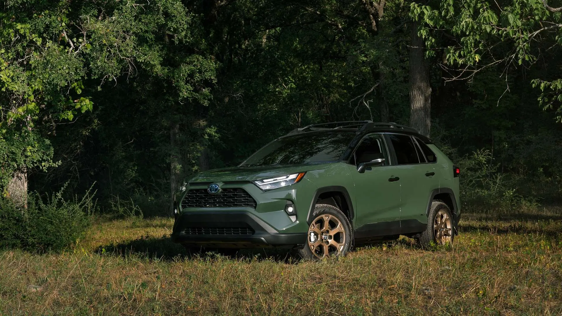 2024 Toyota RAv4 Woodland