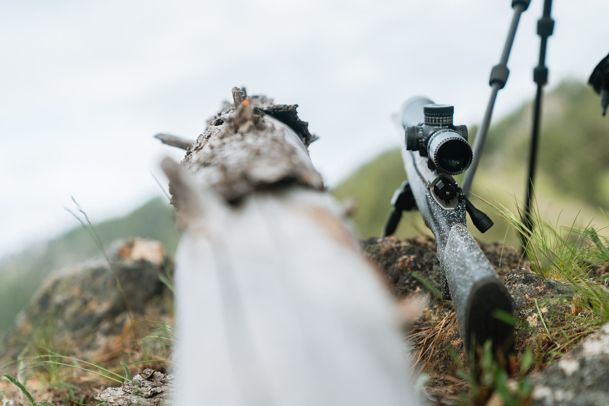 Vortex Viper HD scope