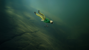 Drunken Bait fishing lure