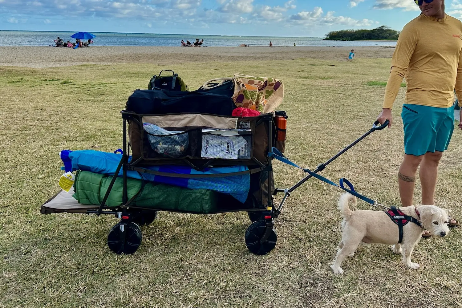 Pulling the Timber Ridge Double Decker Wagon with a full load across a grassy surface near the beach in Hawaii