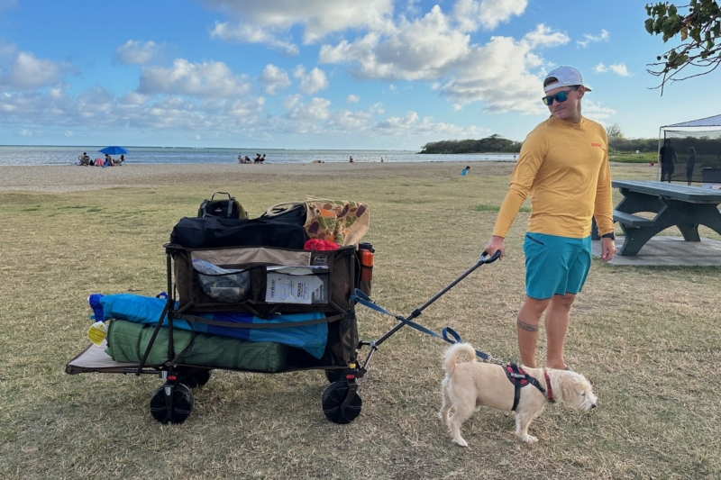 Timber Ridge Double Decker Wagon Review: This Portable Beach Wagon Can Haul It All