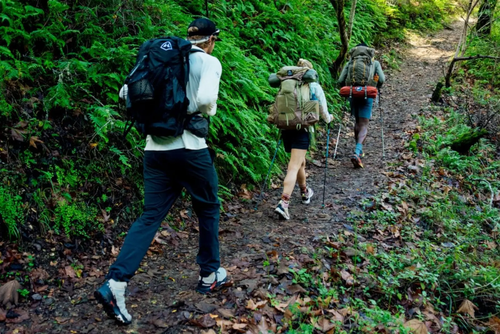 backcountry hike summer sale group photo