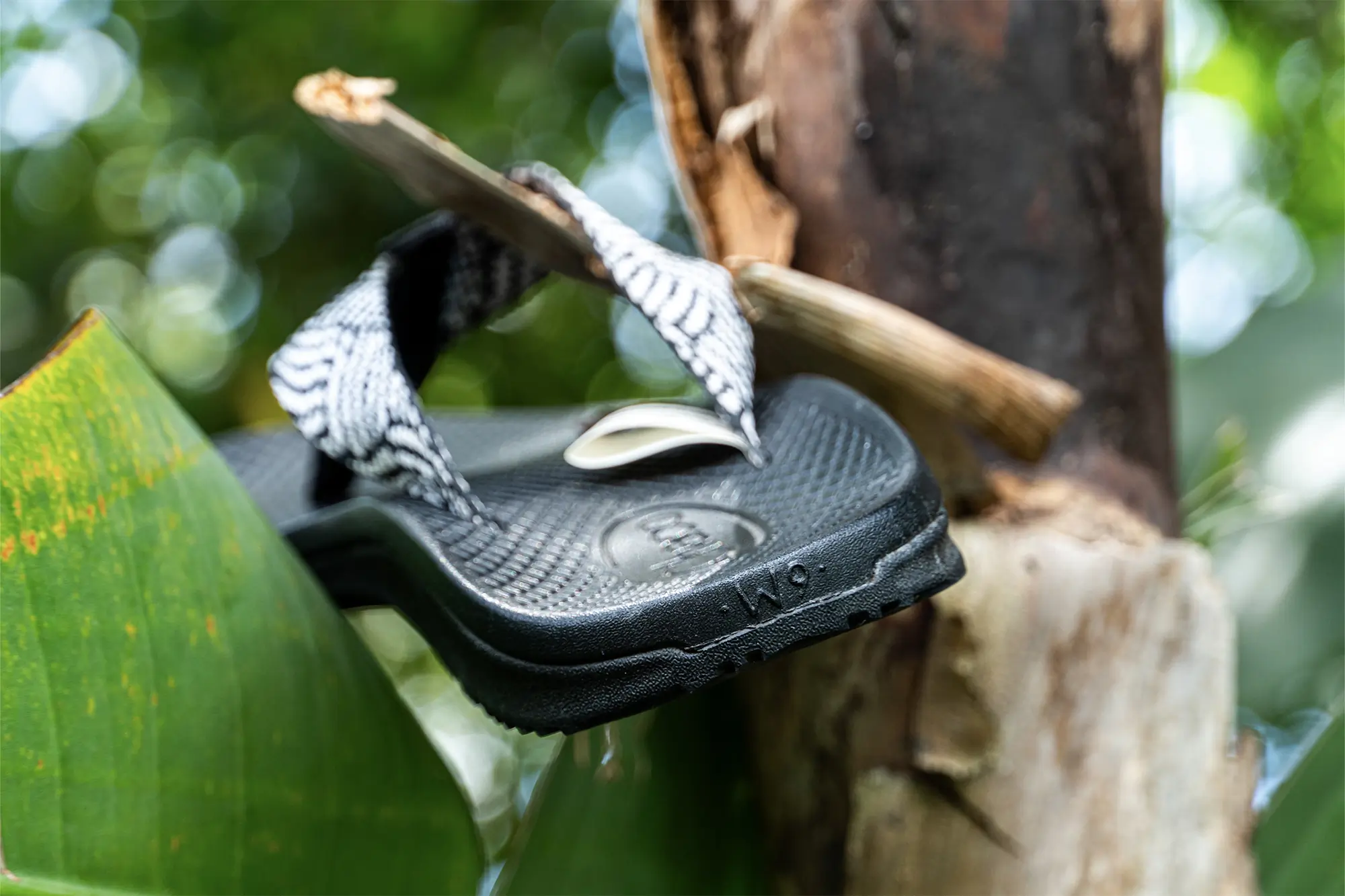 chaco flip hanging from tree branch showing size