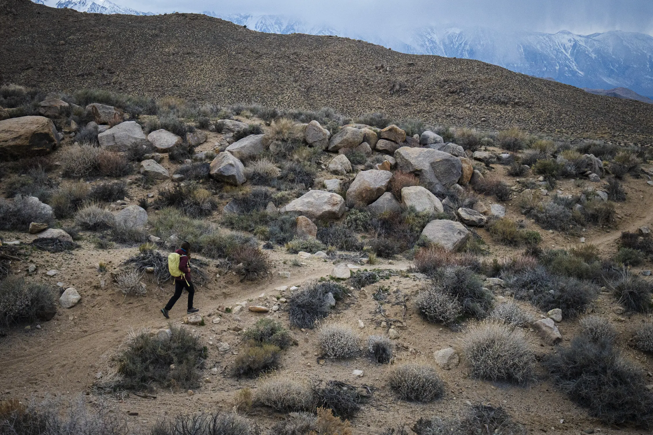 woman hiking in black patagonia quandary pants