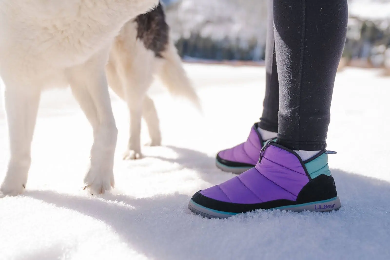 woman wearing purple mountain classic quilted booties and dog on snow