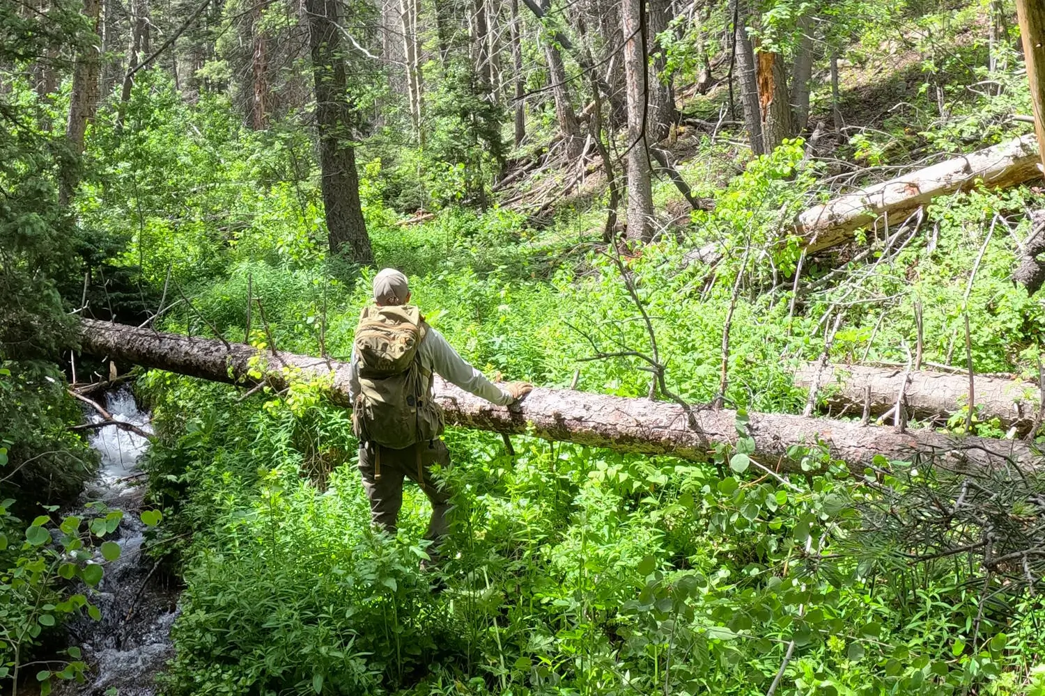 Person with a backpack navigating through a lush, green forest, stepping over a fallen tree near a small stream