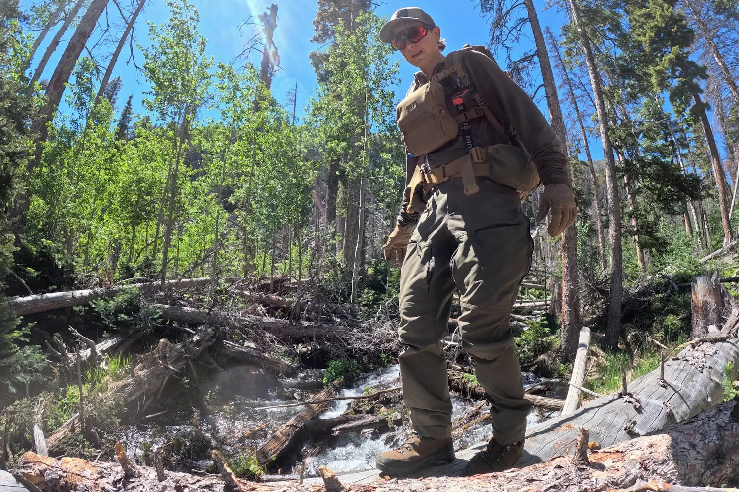 A person in KUIU Women's Pro Brush Pants, standing on a fallen tree over a creek in a dense forest 