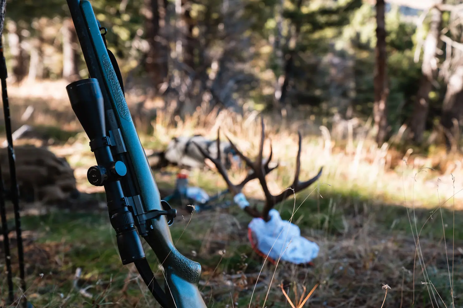 A rifle with a mounted scope leaning against a tree in the foreground
