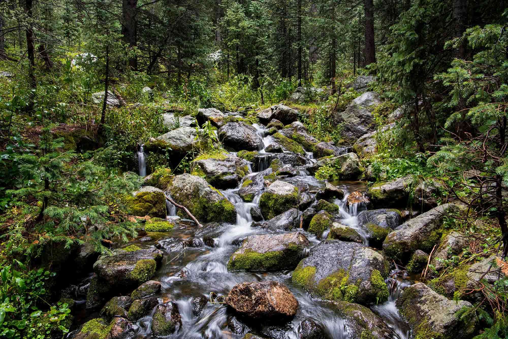 Waterfall,And,Mossy,Boulders,In,Lush,Green,Forest,-,Rio