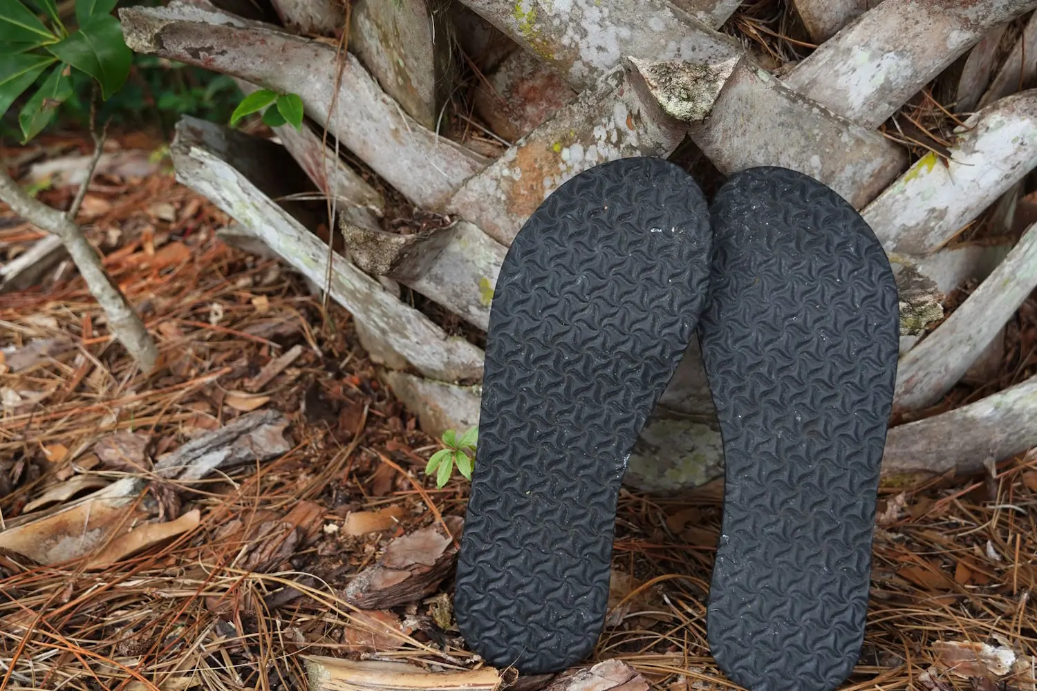 Two black sandal soles with a textured pattern leaning against a tree trunk on a forest floor