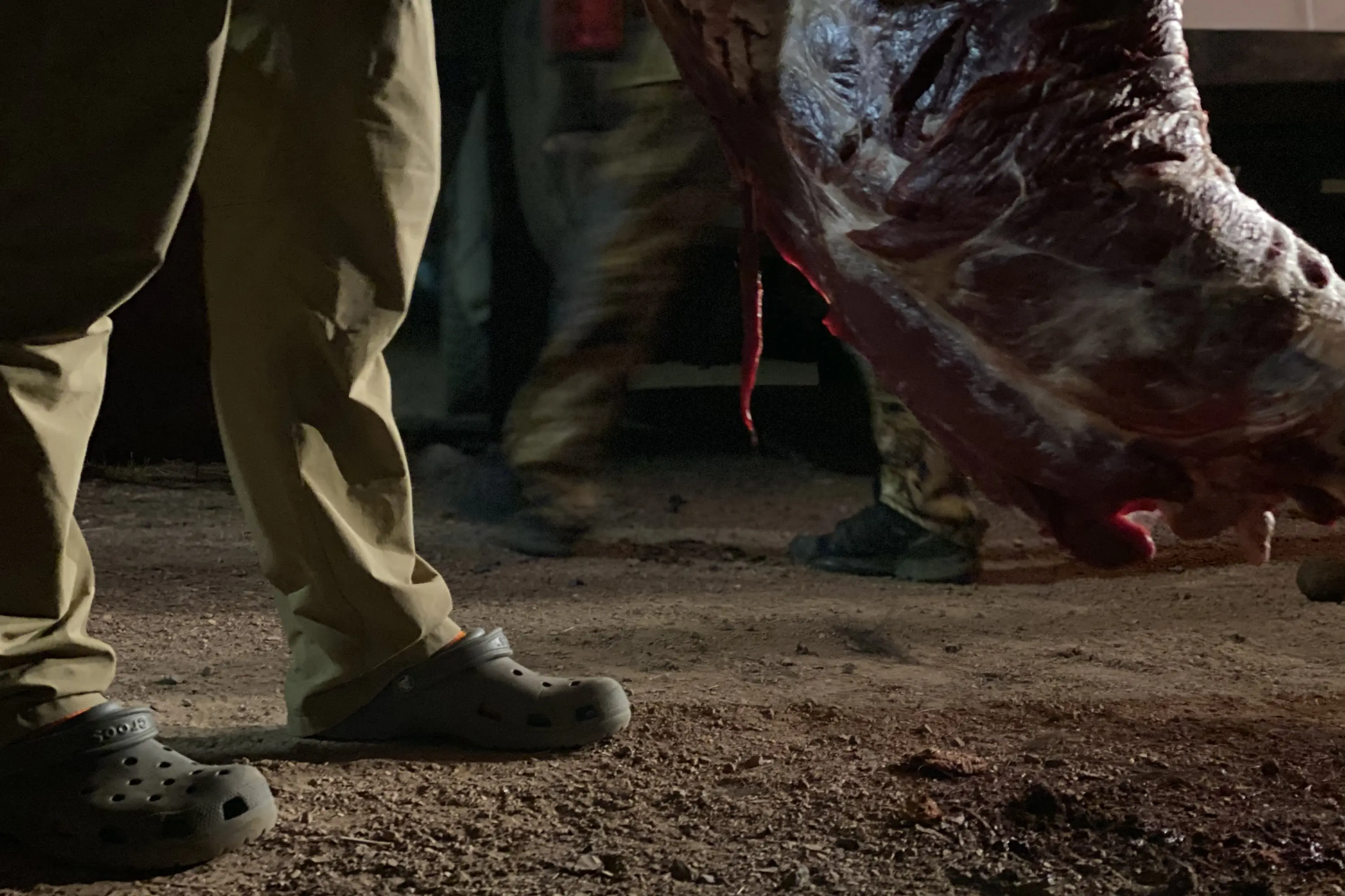 hunting ethics and meat