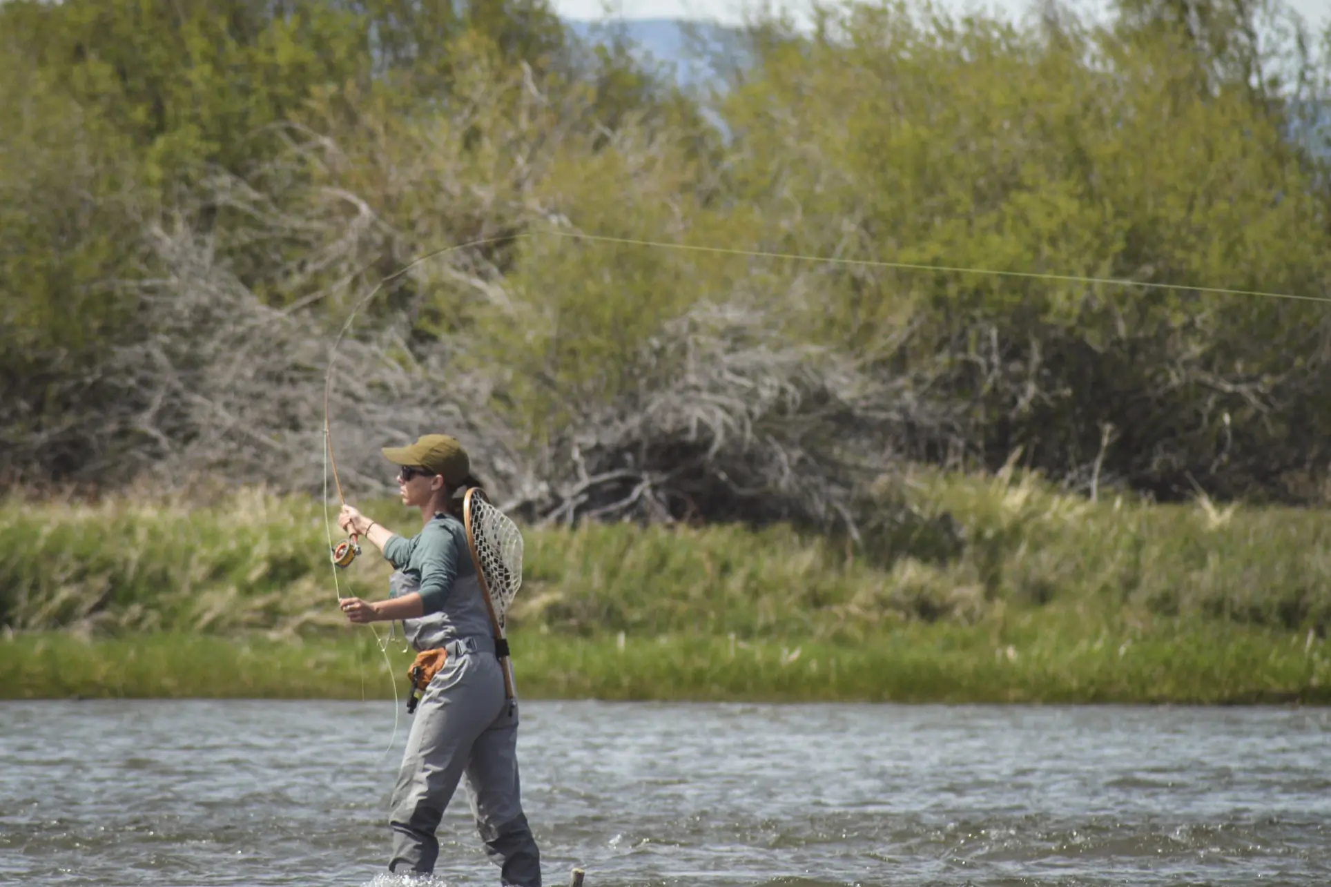 Fly Fishing Montana