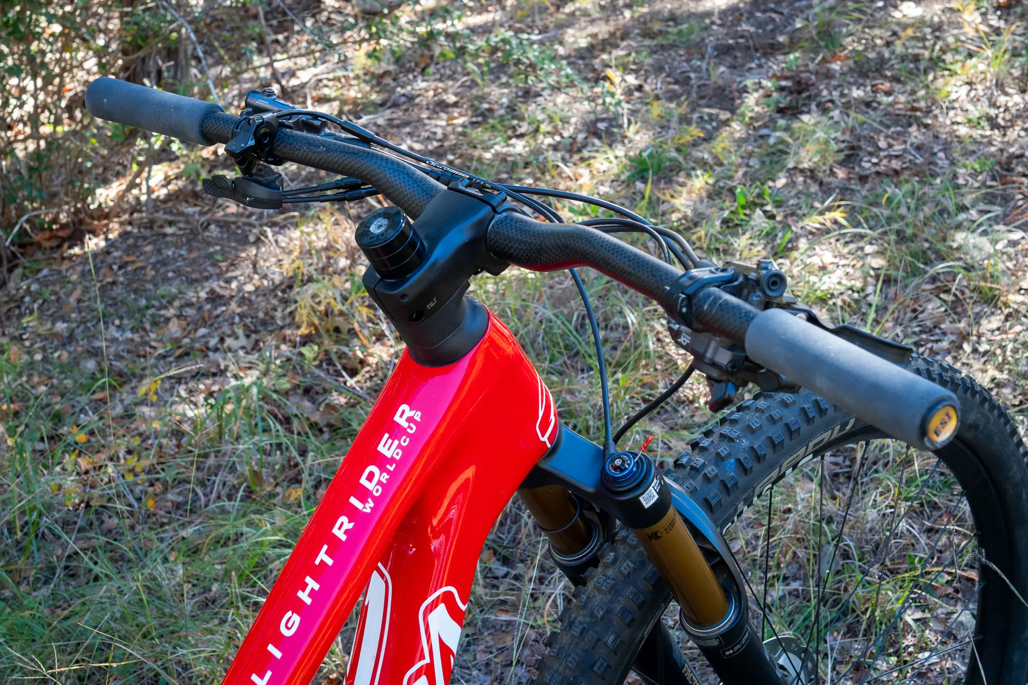 Thomus Lightrider World Cup front cockpit