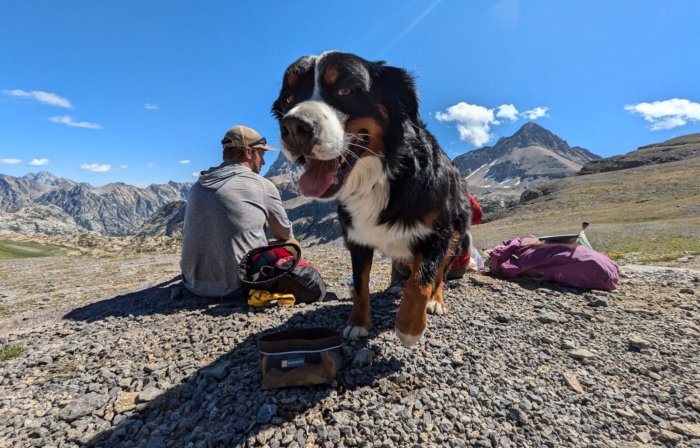 Ruffwear Press Paws