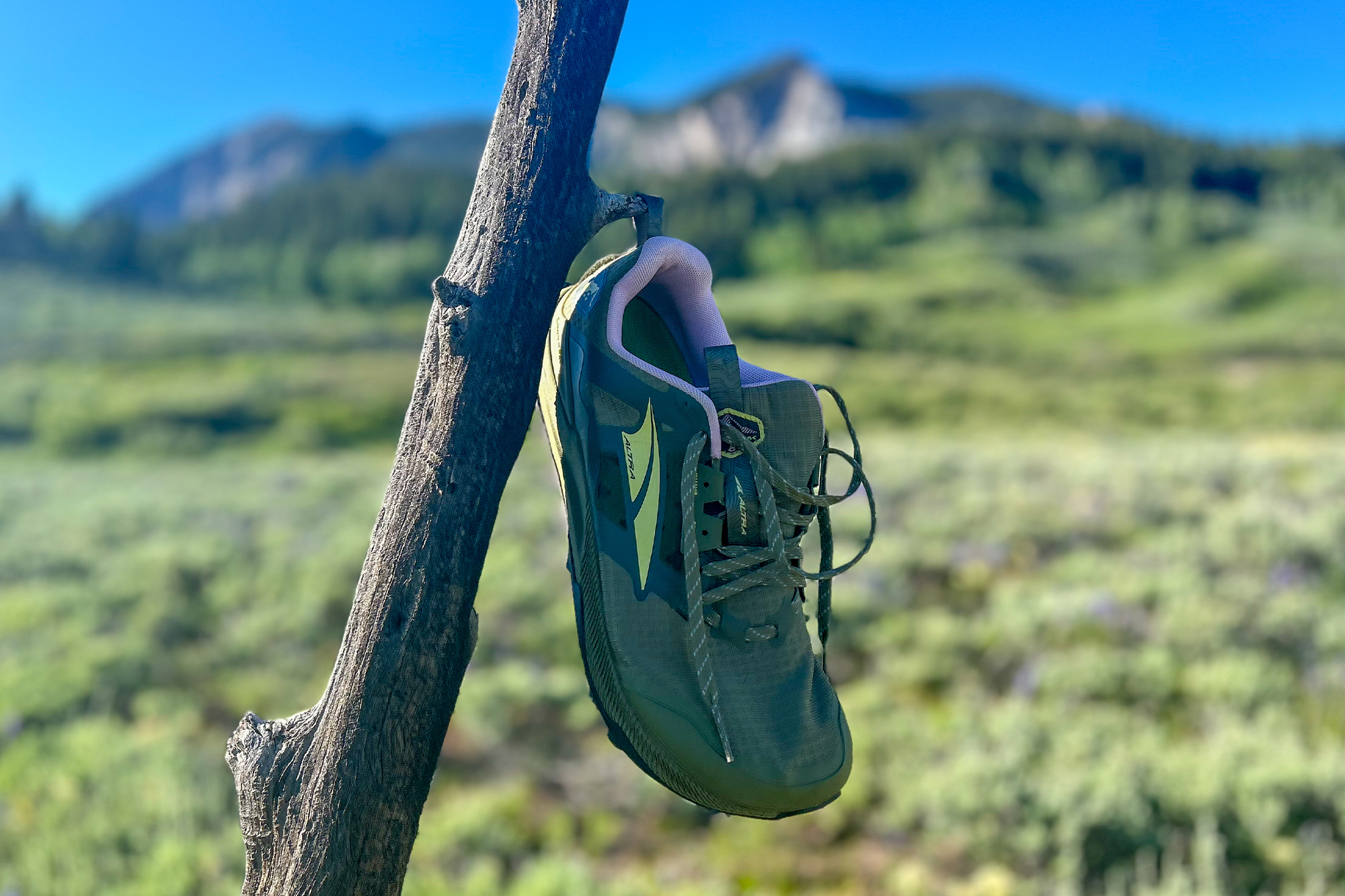 altra lone peak 8 shoe hanging on a wooden stick with blurred nature in the background