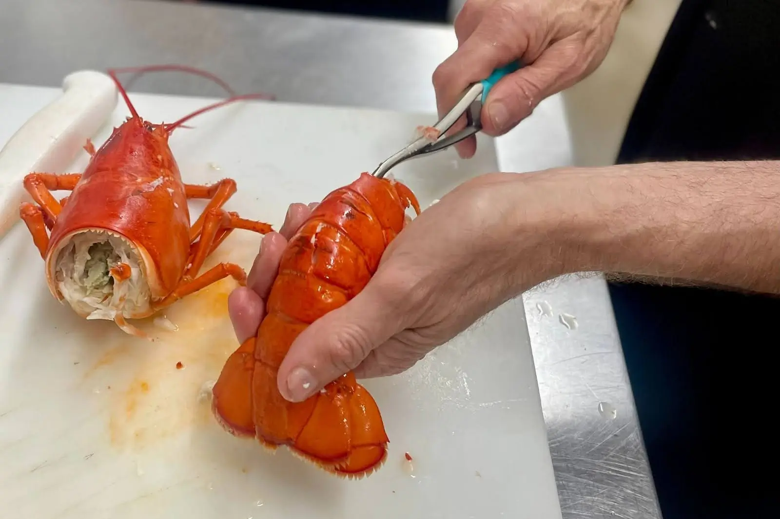 cleaning lobster with frogmore shrimp cleaner