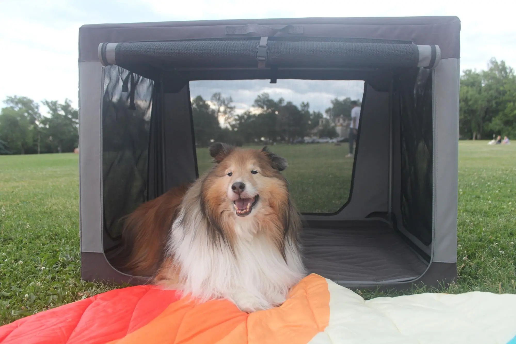 Packable, Portable, Rugged: Orvis Tough Trail Folding Crate Review