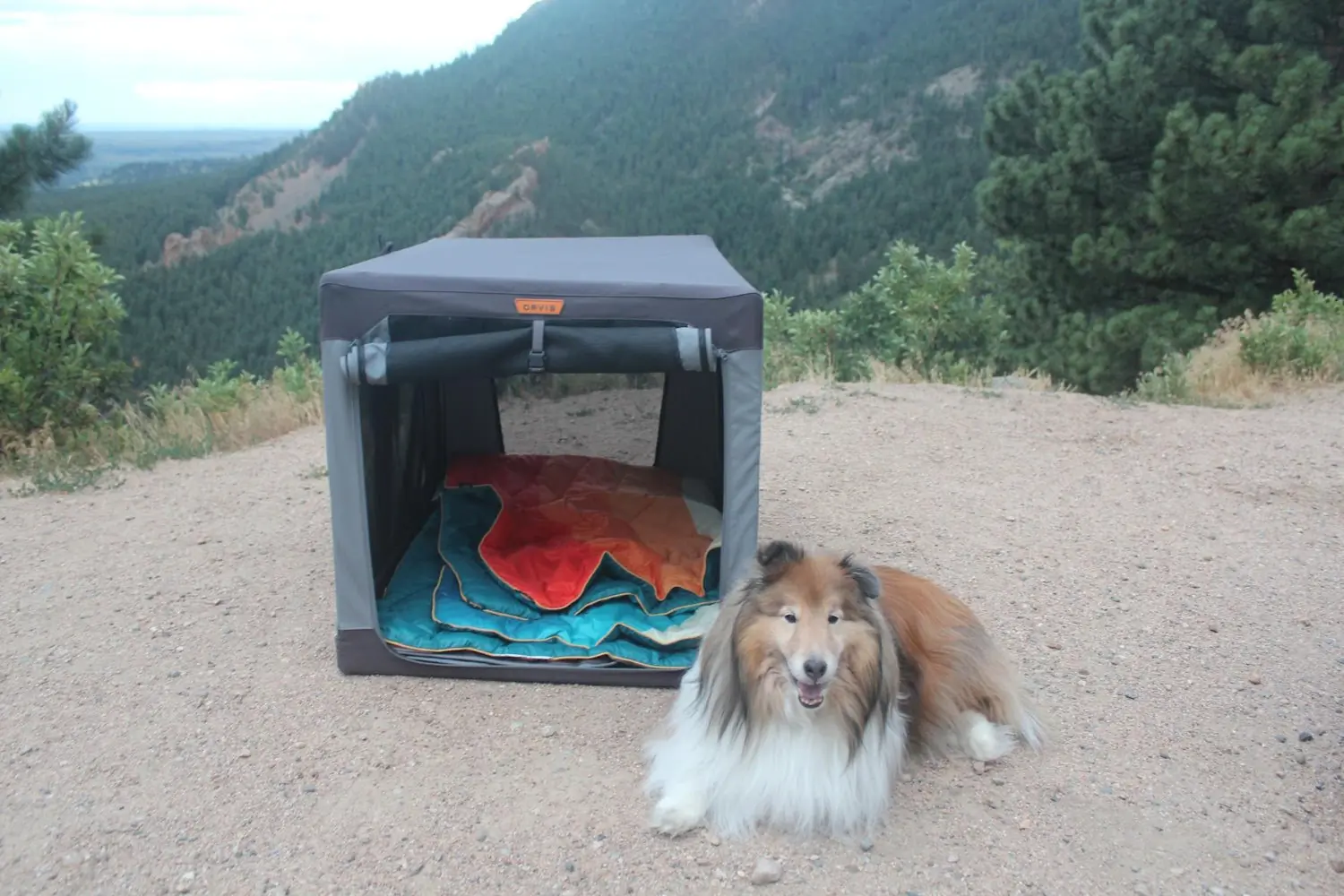 Dog resting bedise portable pet crate on a mountain trail