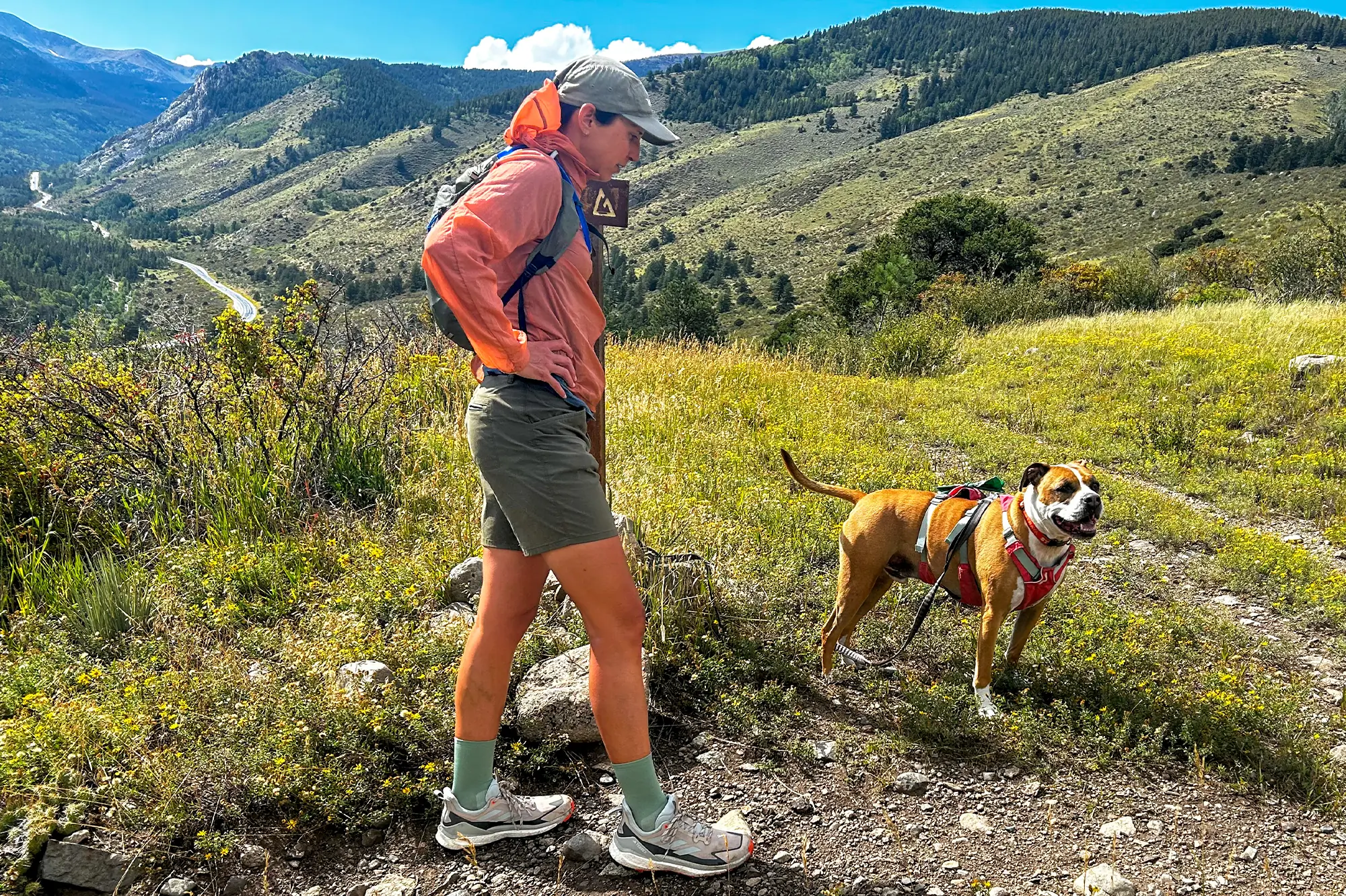 hiking in adidas terrex free hiker 2 low shoes with dog in beautiful nature