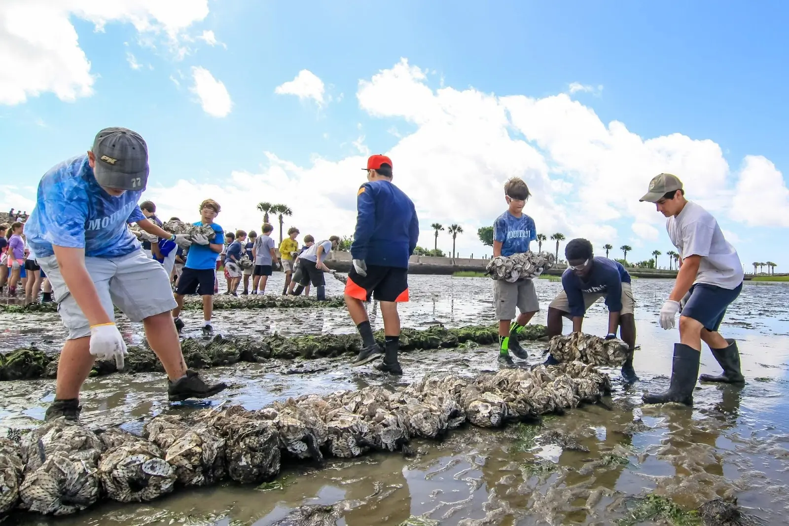 adults and children working in shallow water on lets put em back project