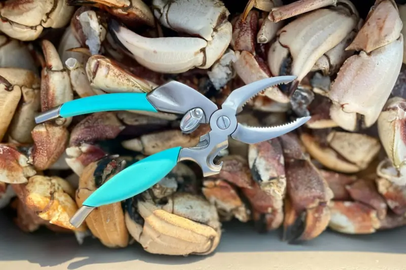 Seafood Staples That Give Back: Toadfish Coastal Kitchen Collection Review