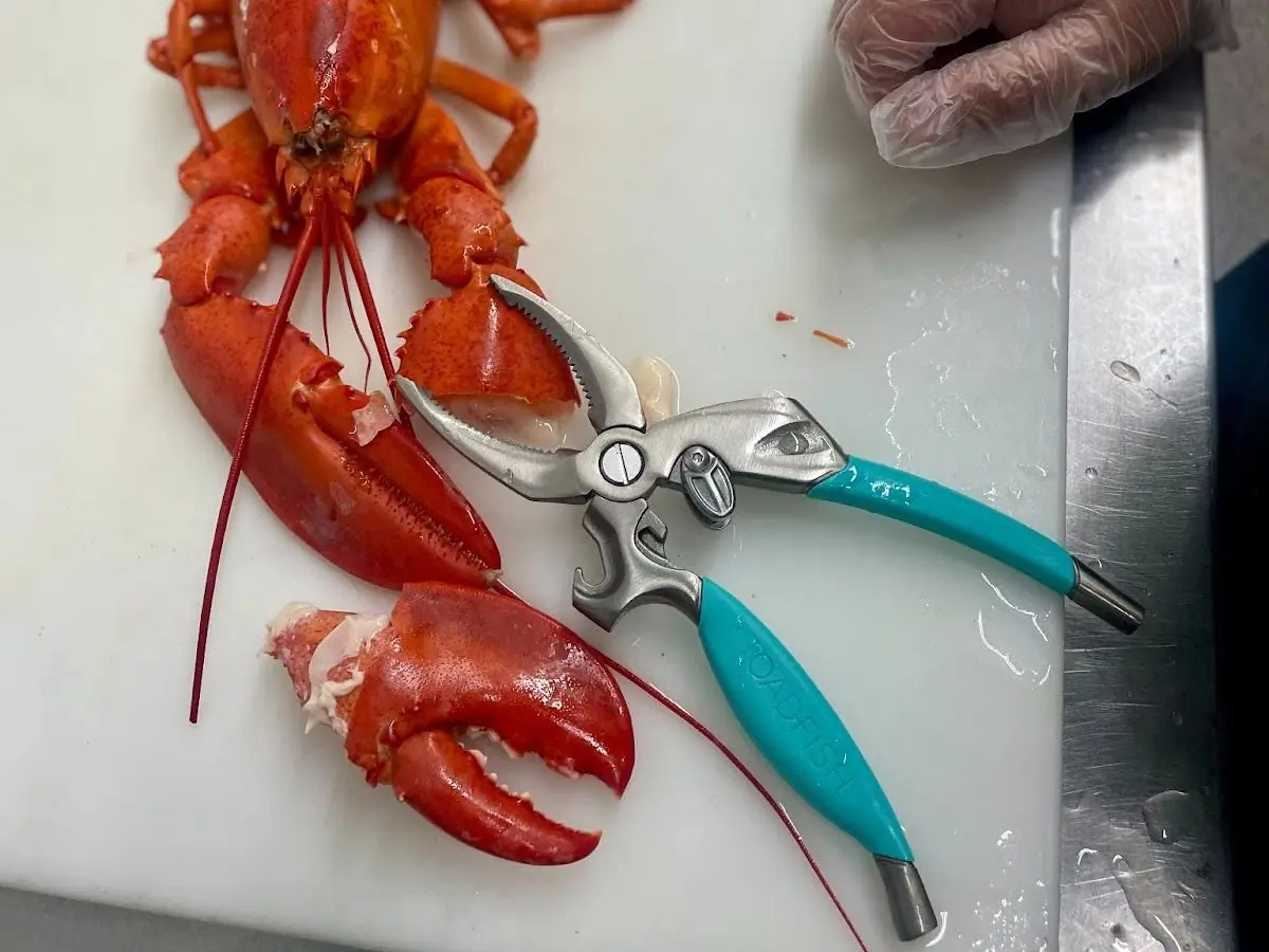 using toadfish crab cutter on lobster