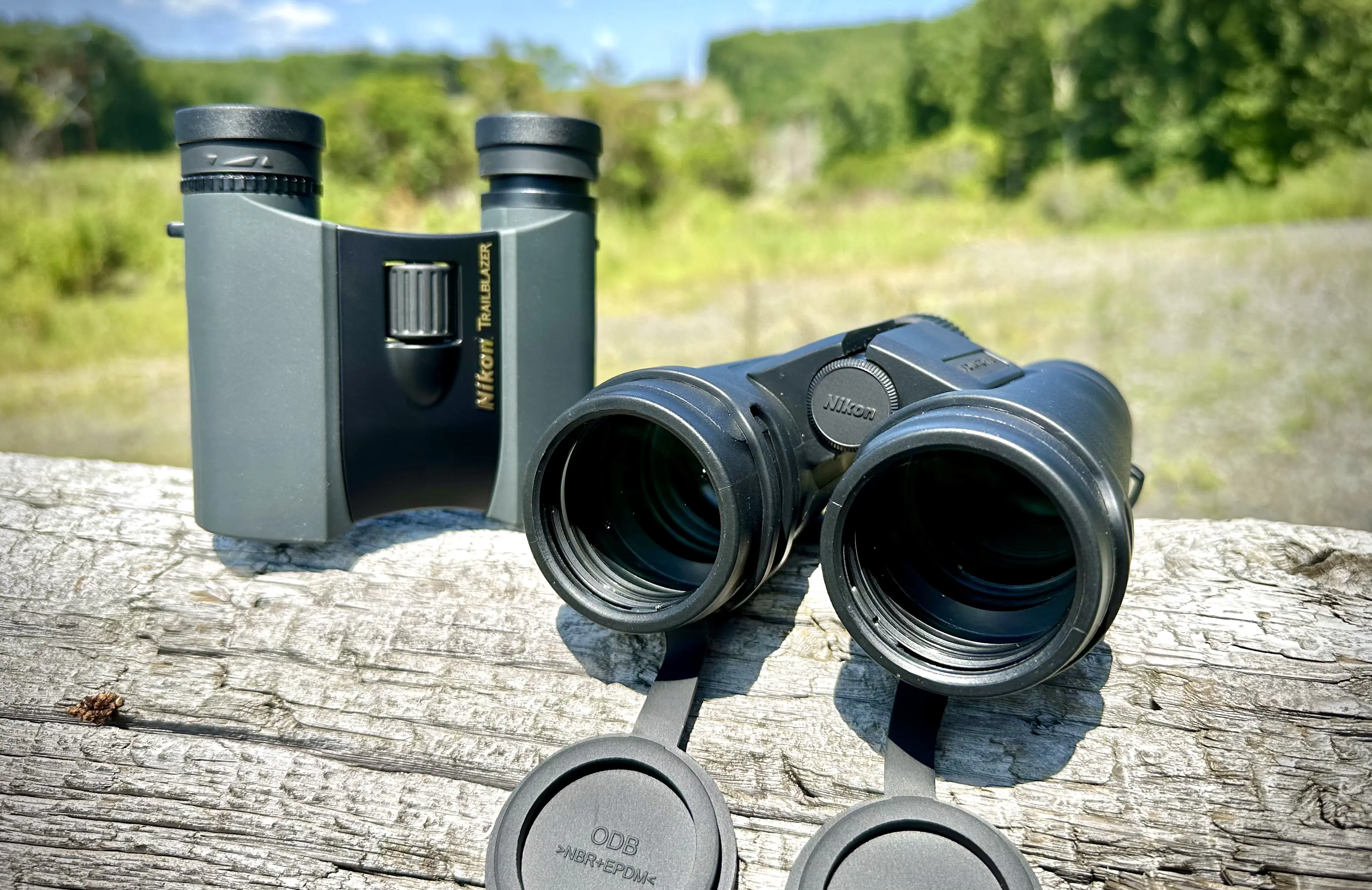 The Nikon Monarch M5 8X42, our best binocular for birdwatching, next to the Nikon Trailblazer