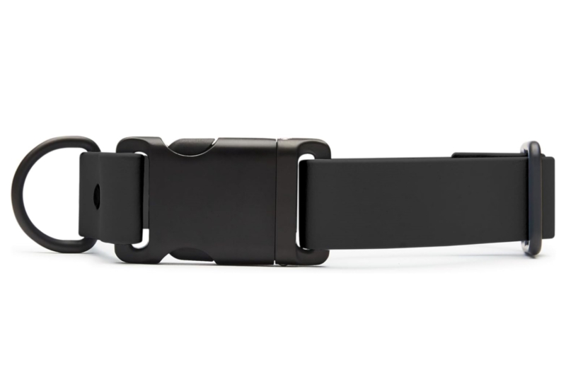 Fable Signature Collar