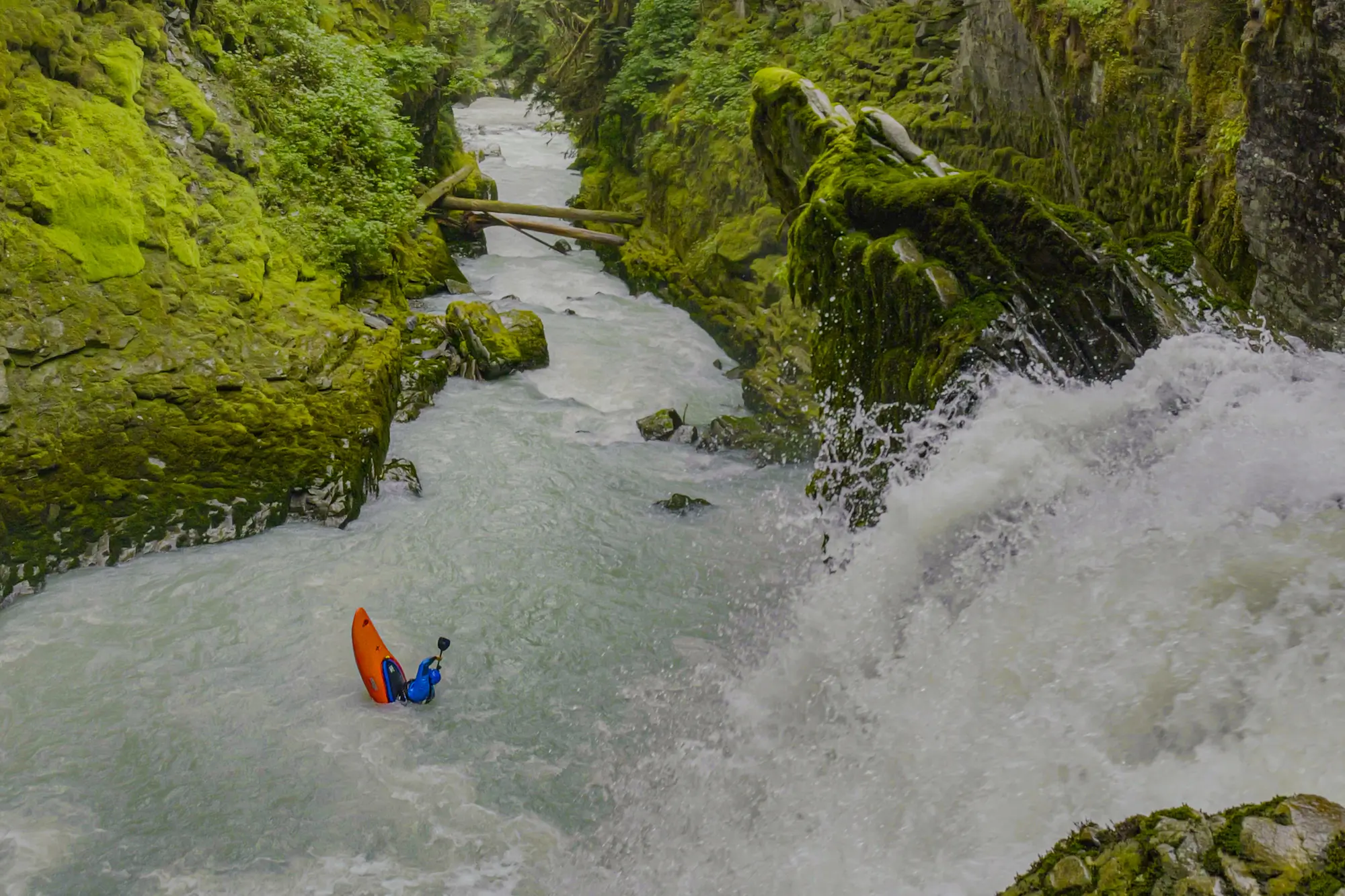 Jackson Kayak Clutch