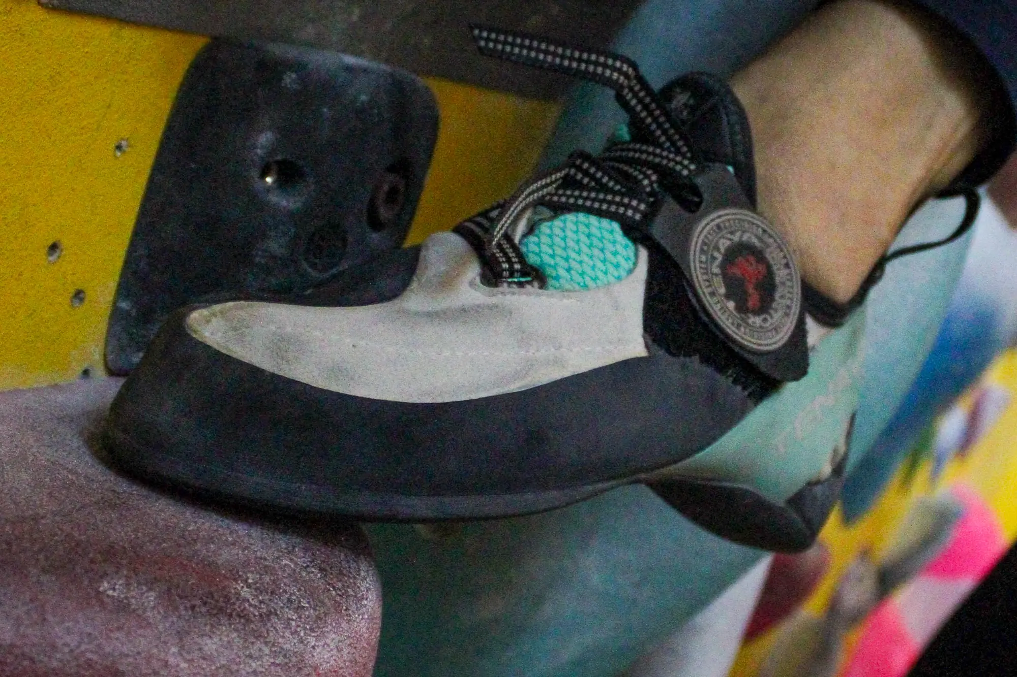 Tenaya Oasi LV climbing shoe in a gym