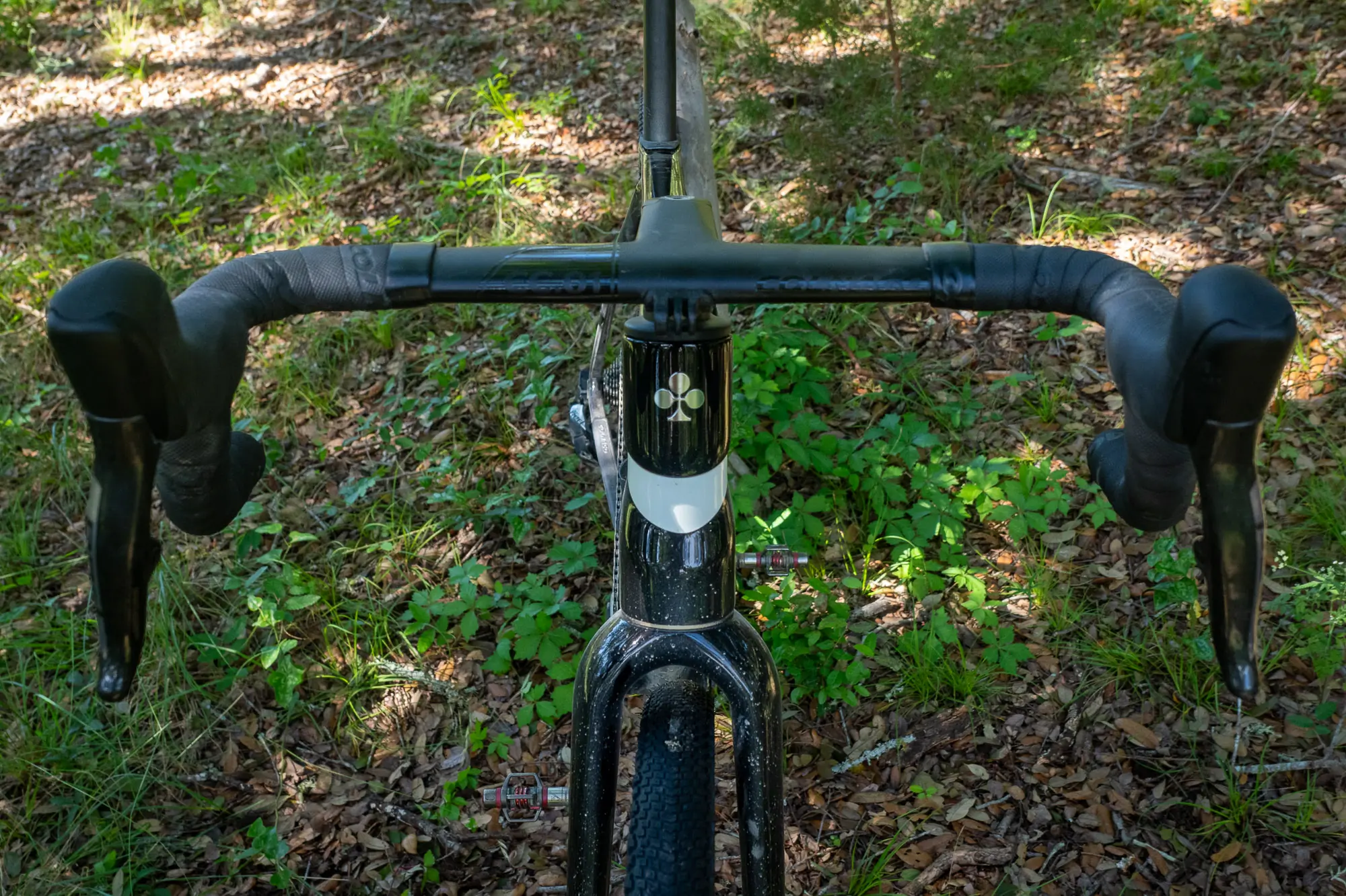 Colnago C68 Gravel front view