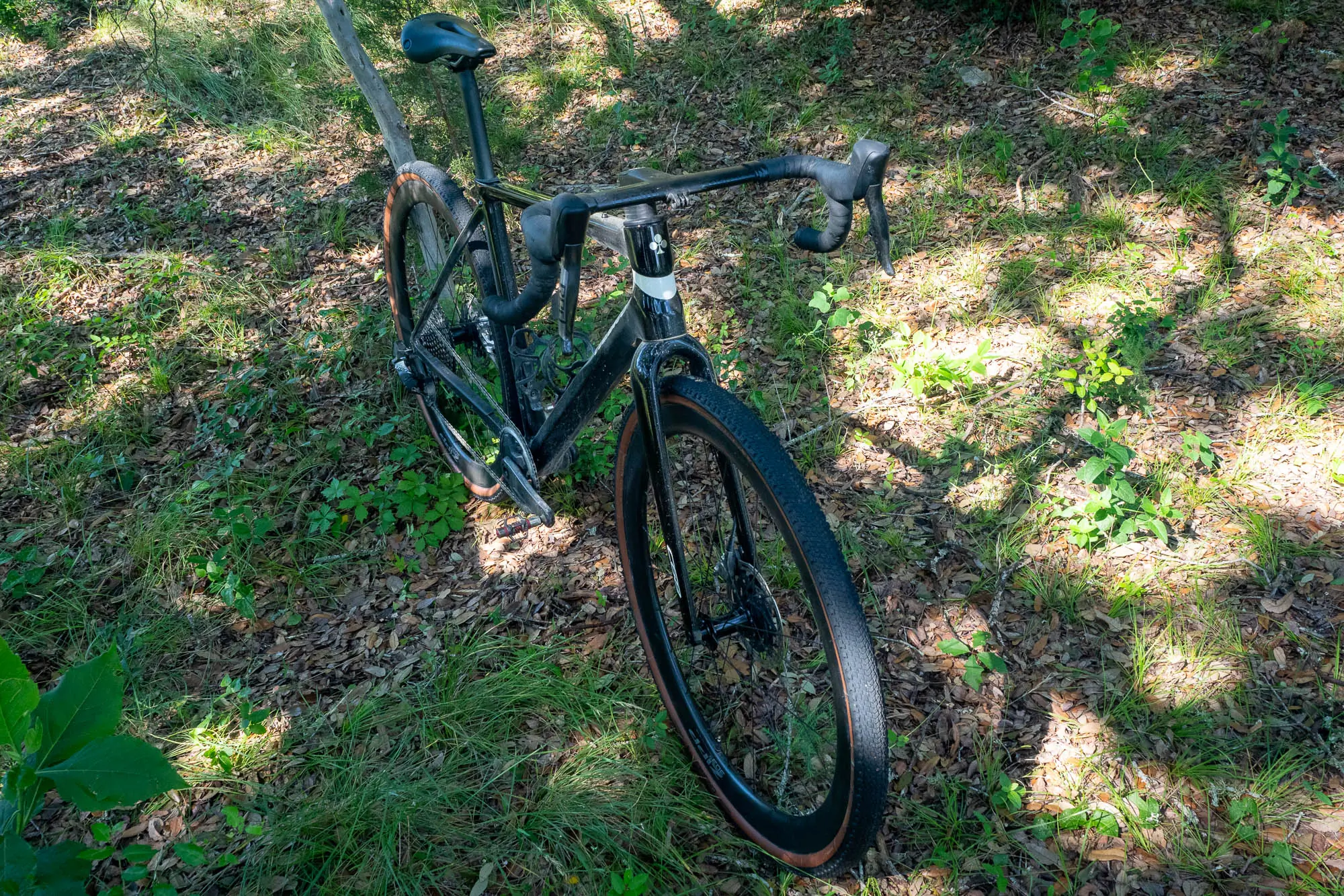 Colnago C68 Gravel front/side view