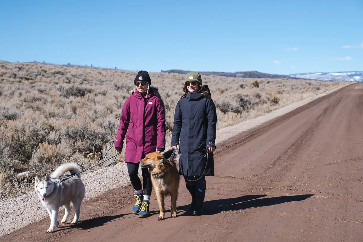 two women walking dogs and testing winter jackets