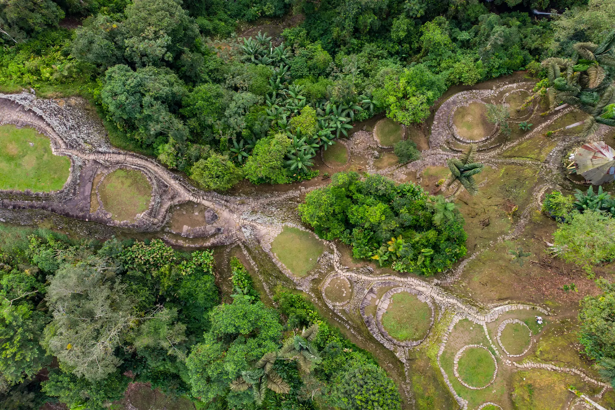 Ciudad Perdida – The Lost City photo from above