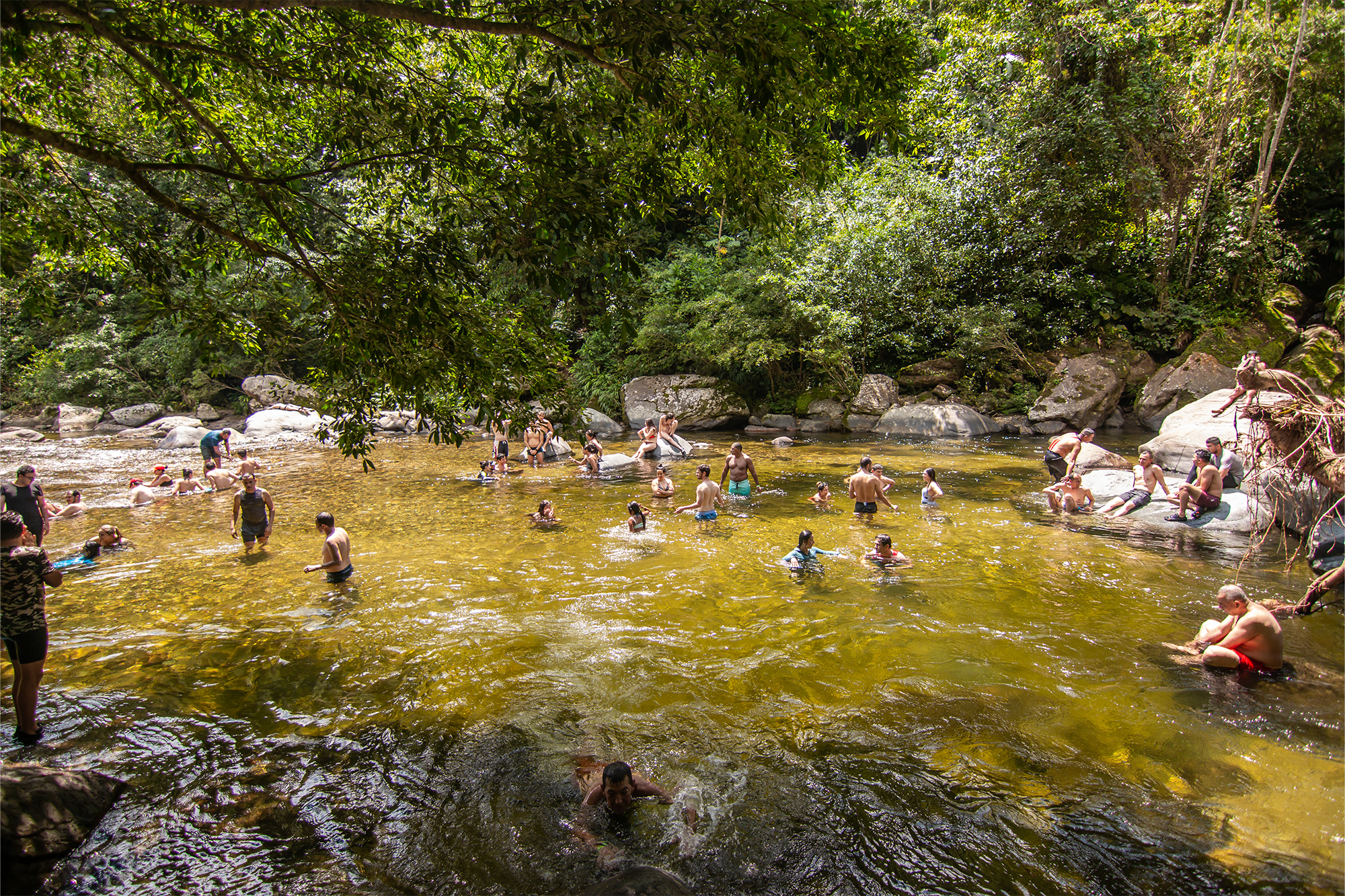 people swimming in the water