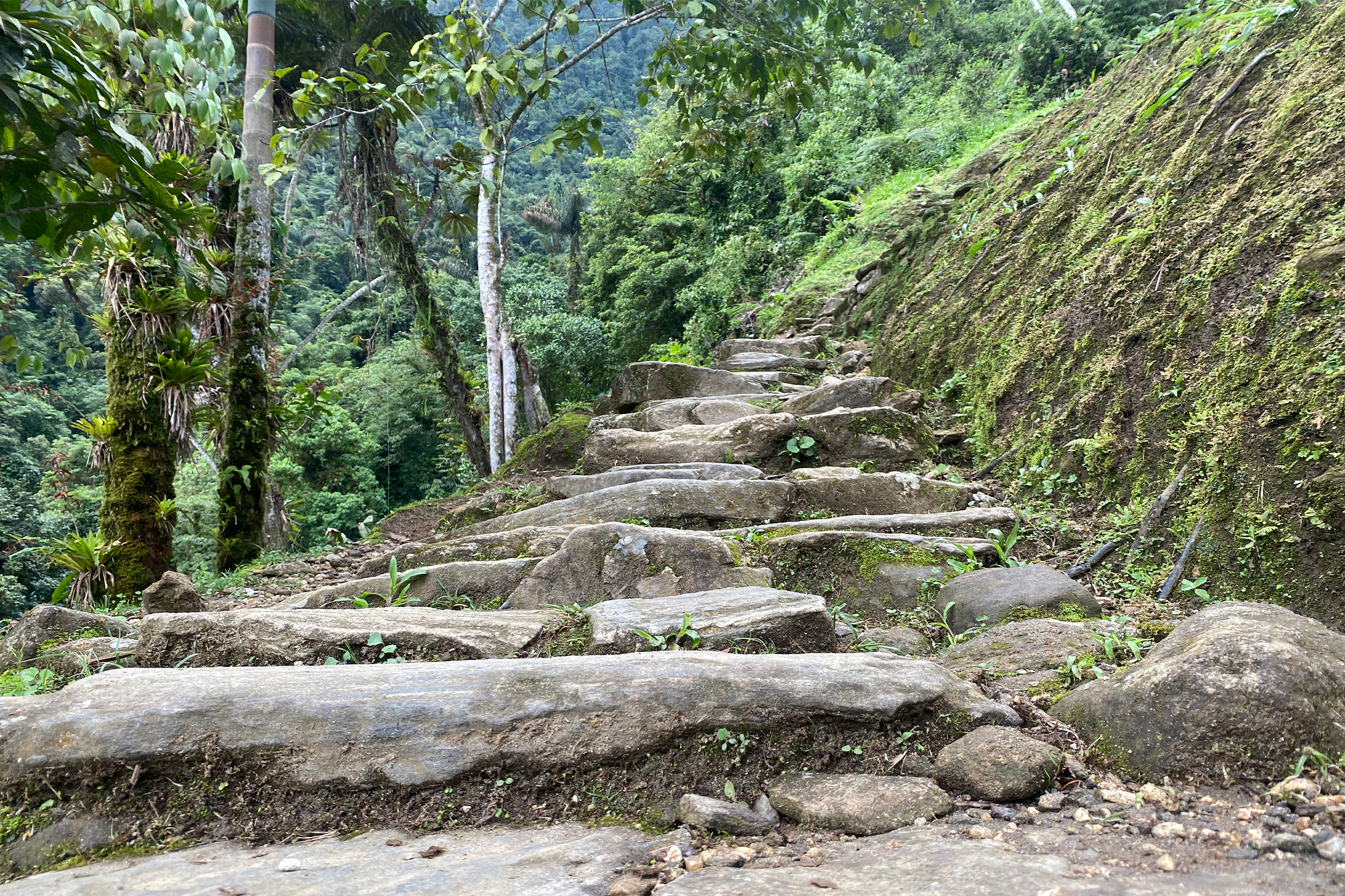 ciudad perdida trek
