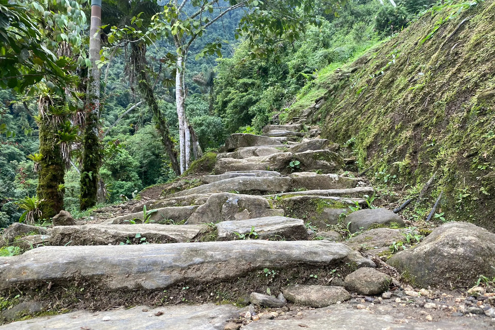 ciudad perdida trek