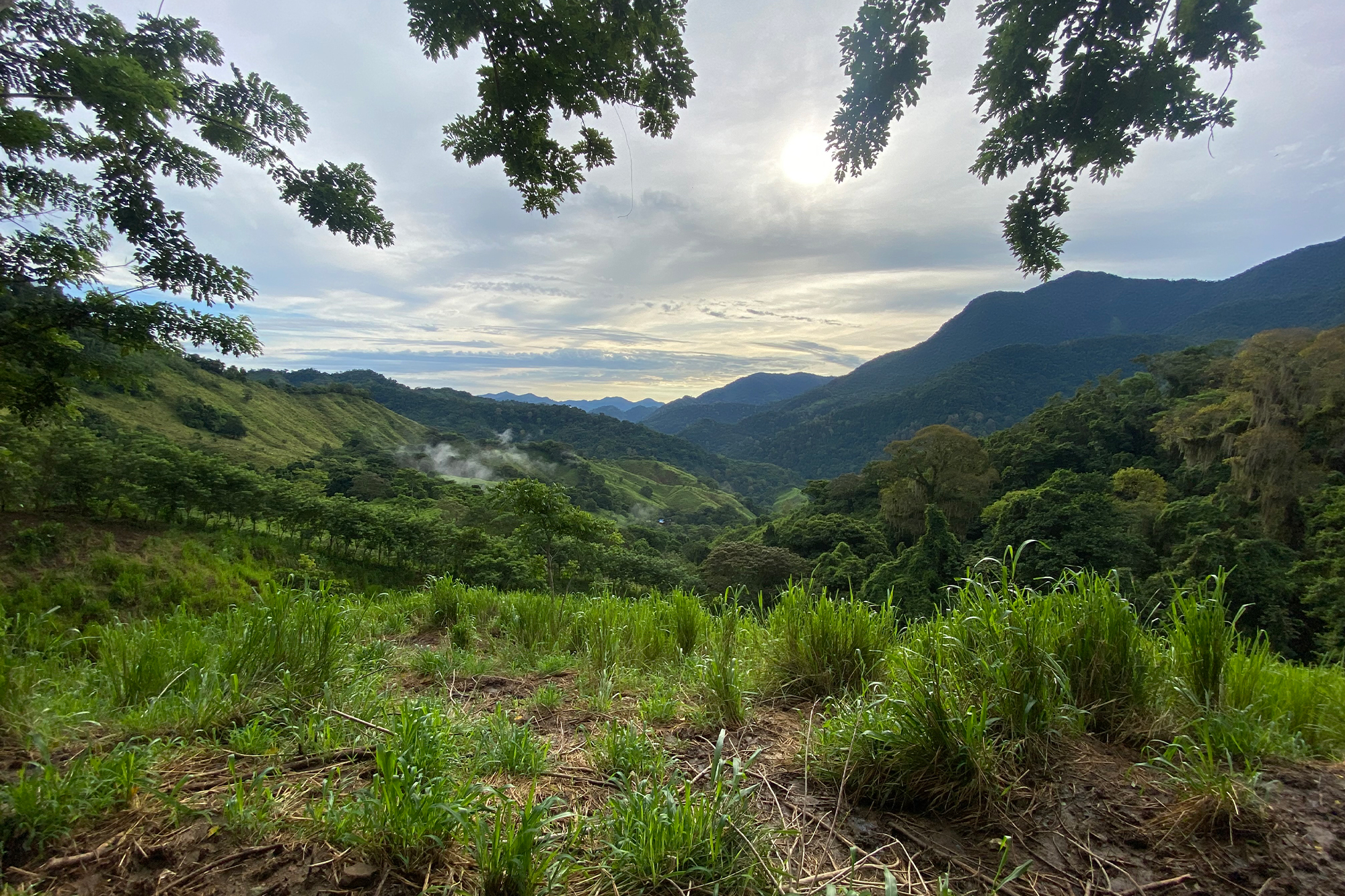 ciudad perdida trek