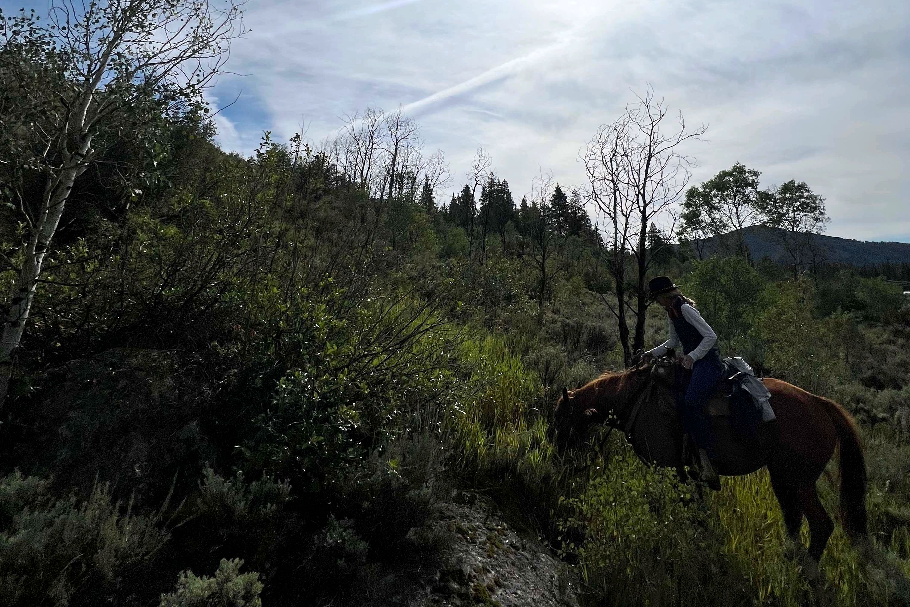 Vail to aspen horseback hut to hut ride bearcat stables