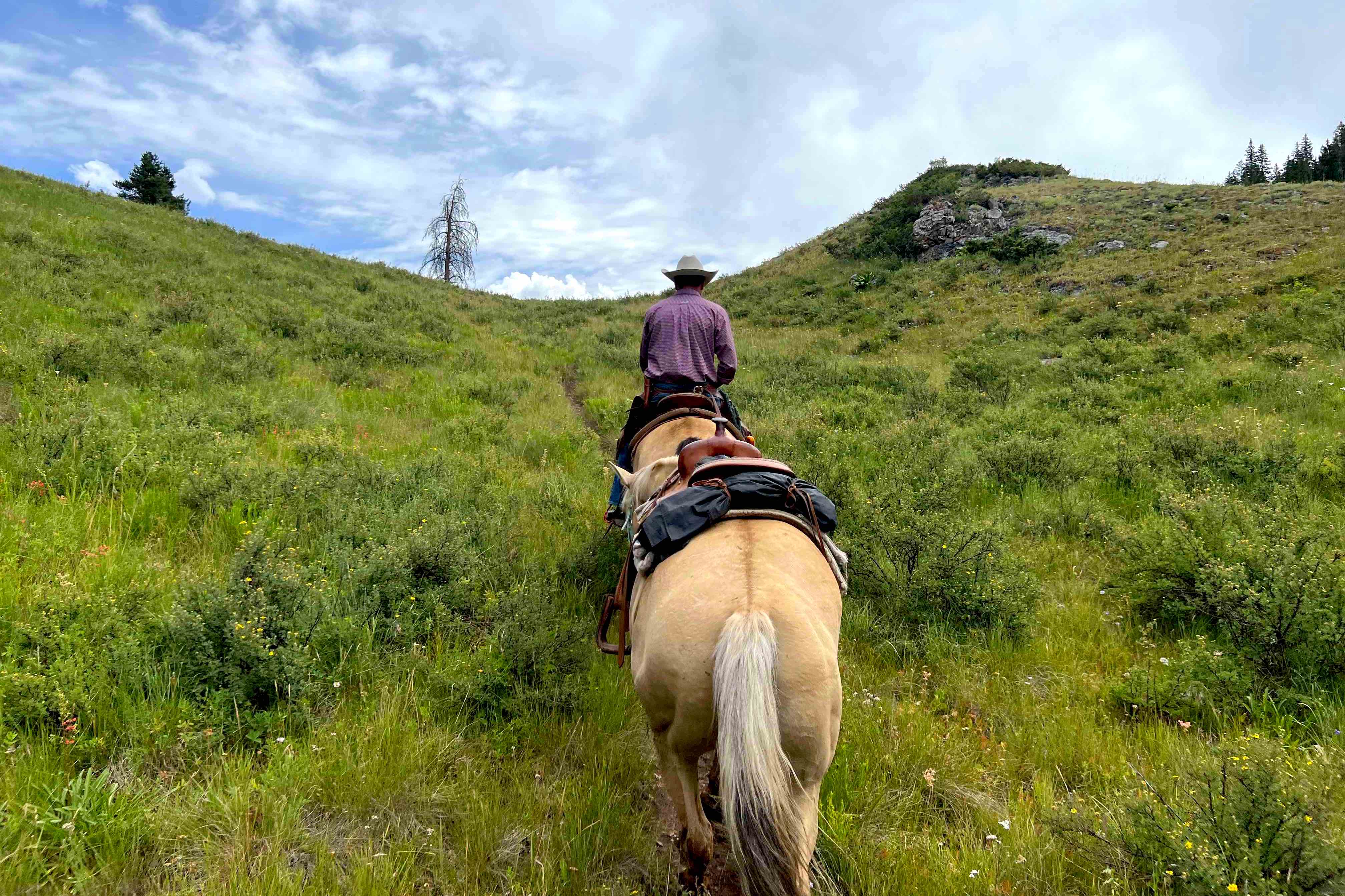 Vail to aspen horseback hut to hut ride bearcat stables