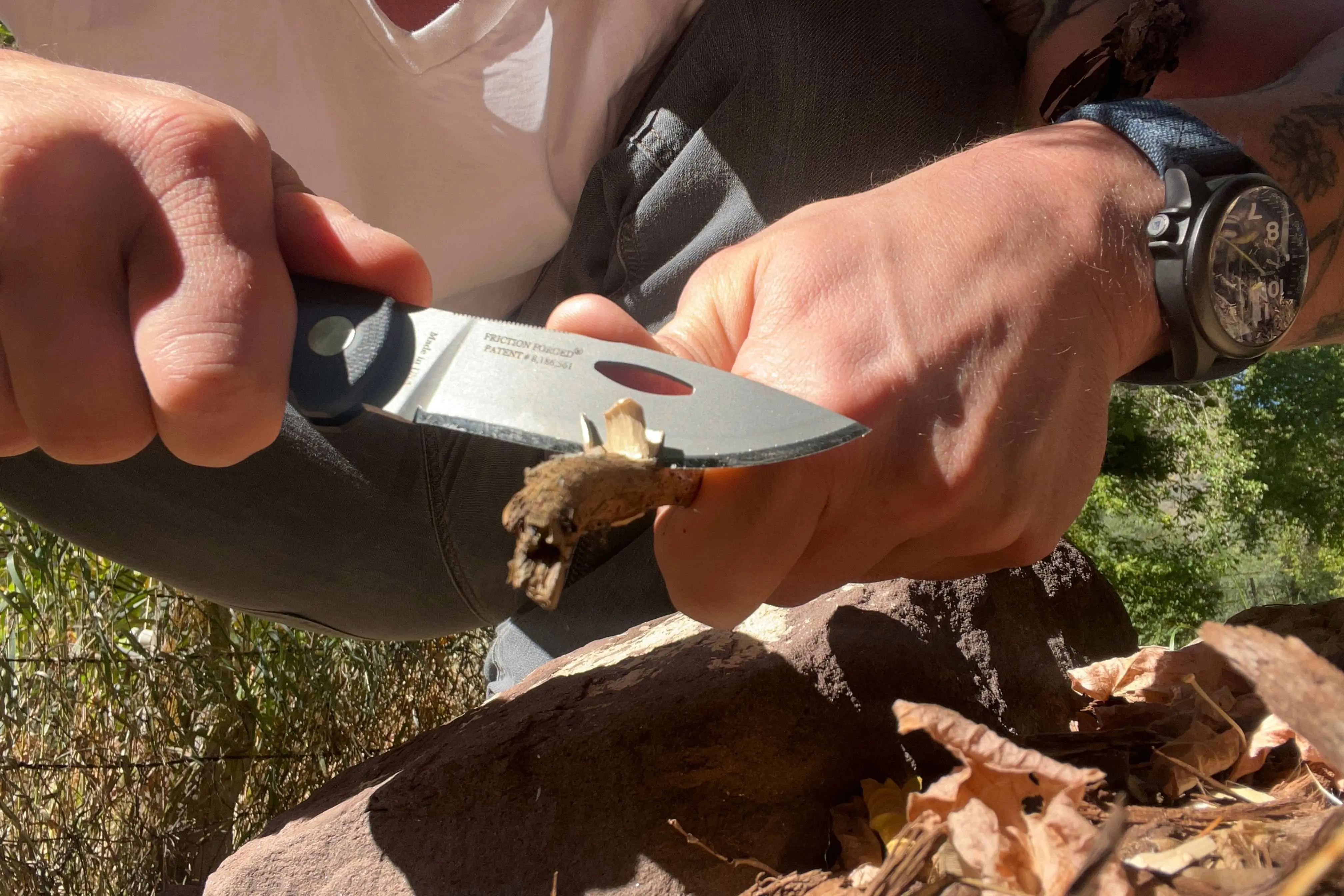 DiamondBlades Summit Folder friction forged hunting knife