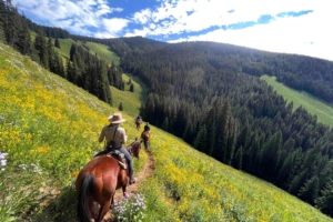 Vail to aspen horseback hut to hut ride bearcat stables